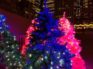 Nathan Phillips Square’s Cavalcade of Lights