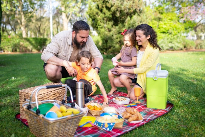 family picnic